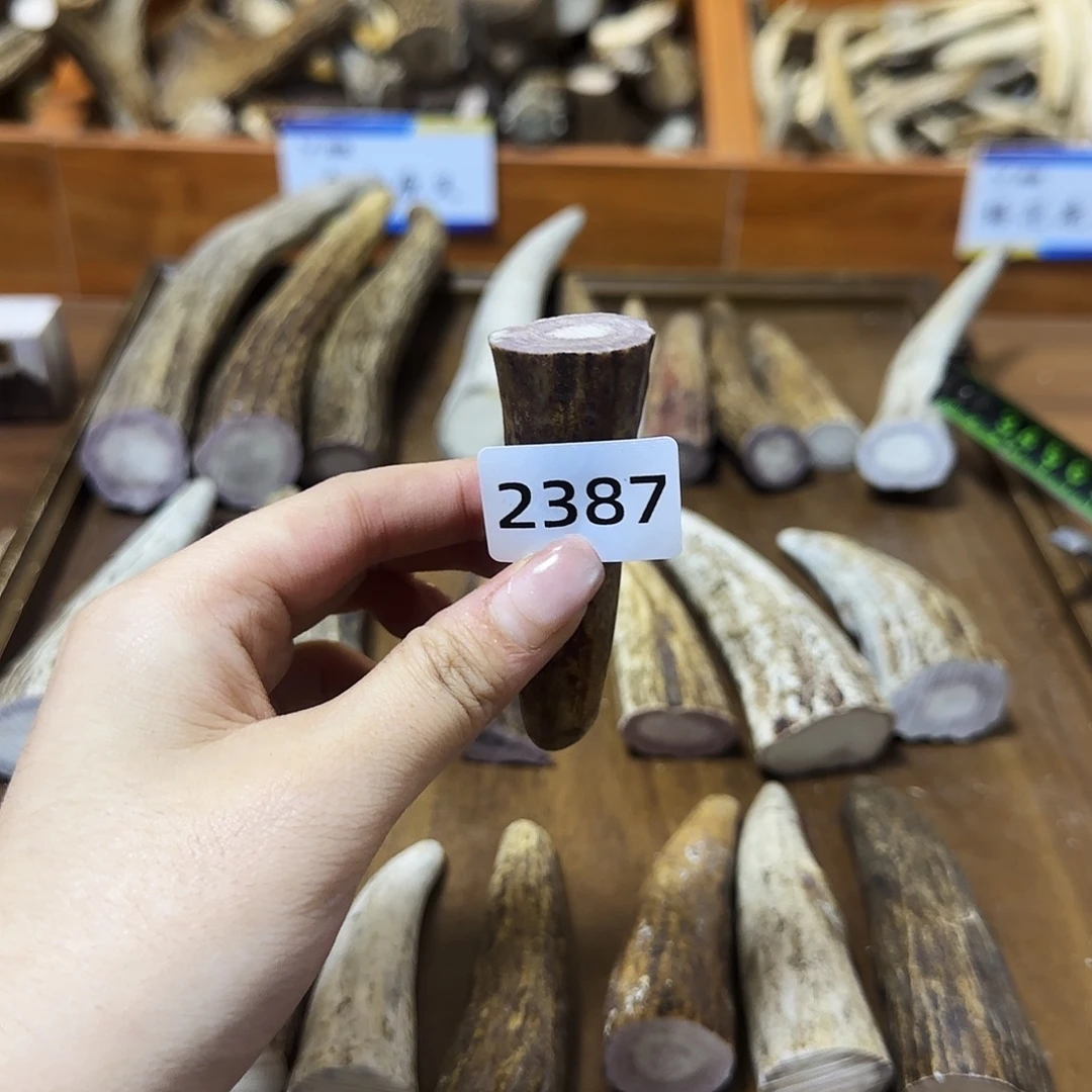 手串/手链鹿骨角尖2387