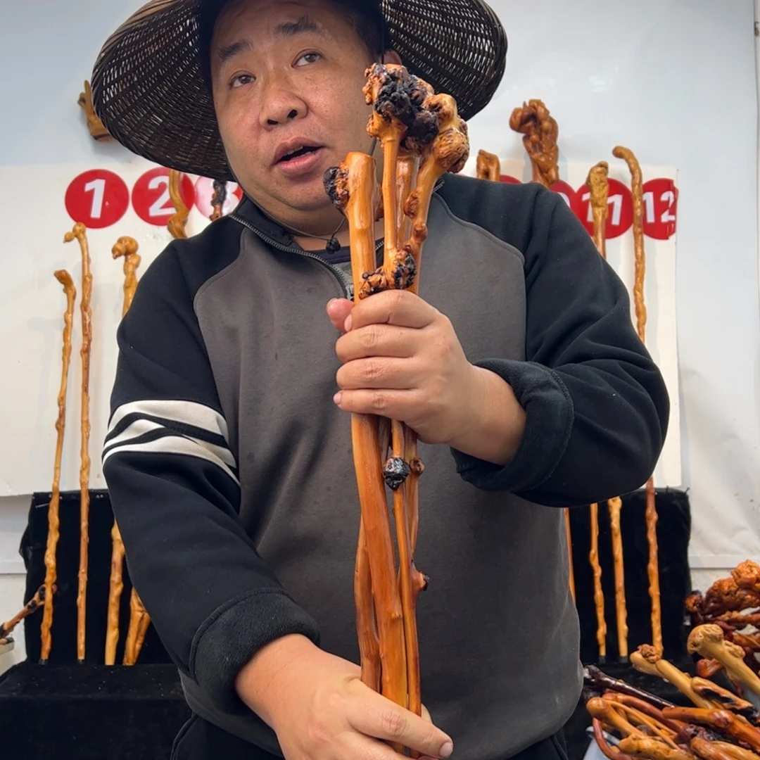 黑果木其他黑果木268