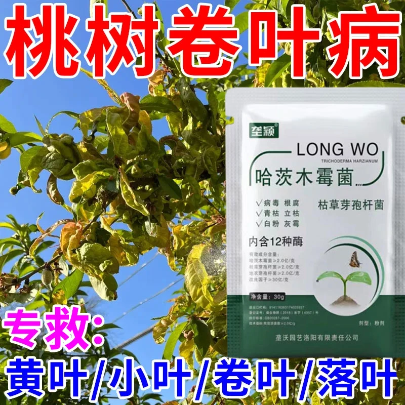 桃树卷叶缩叶黄叶专用白粉病早疫病根腐病霜霉病褐斑病微生物菌肥