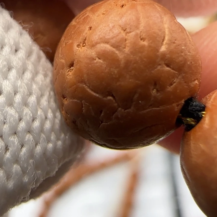 凤眼菩提吊坠锦柚树王ssd手持28颗同树佛眼