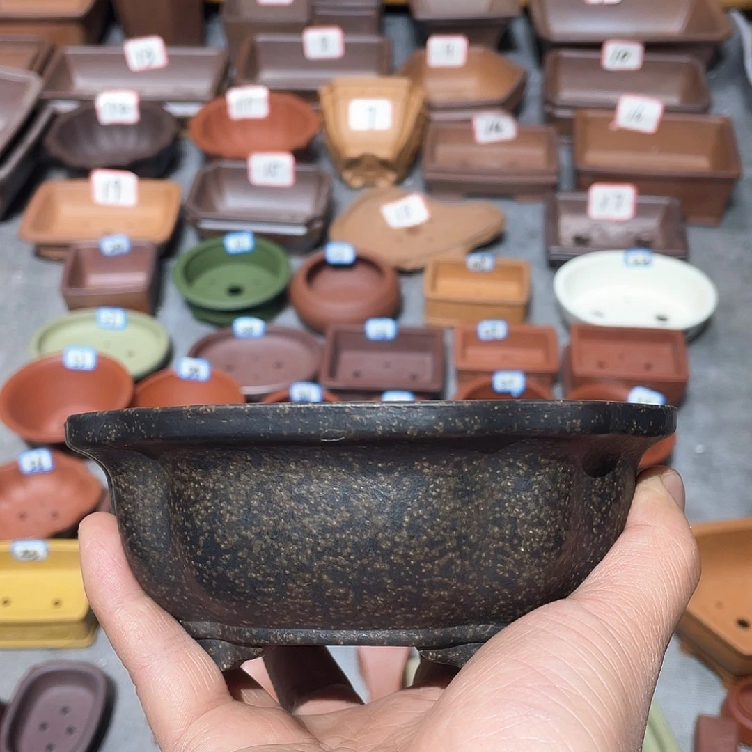 紫砂小盆13*4.5微瑕