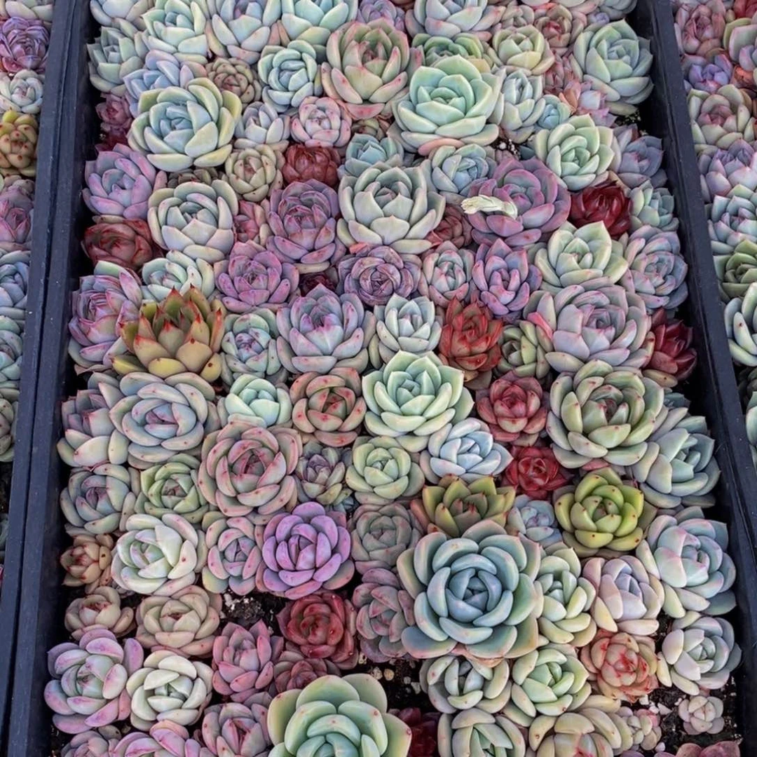 h****h460的人生态度是一种