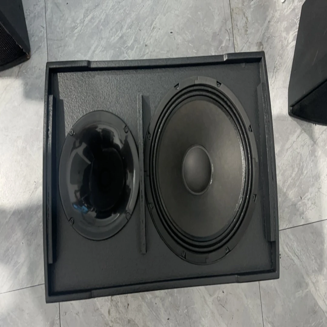 不包邮，唐朝12寸专业音响一对+功放