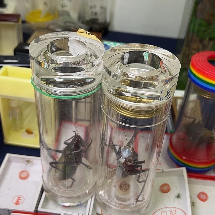 阿***蔡哈哈哈哈哈哈哈哈哈