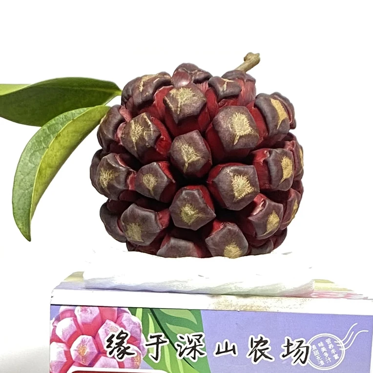 果王新鲜现摘黑老虎水果一个！