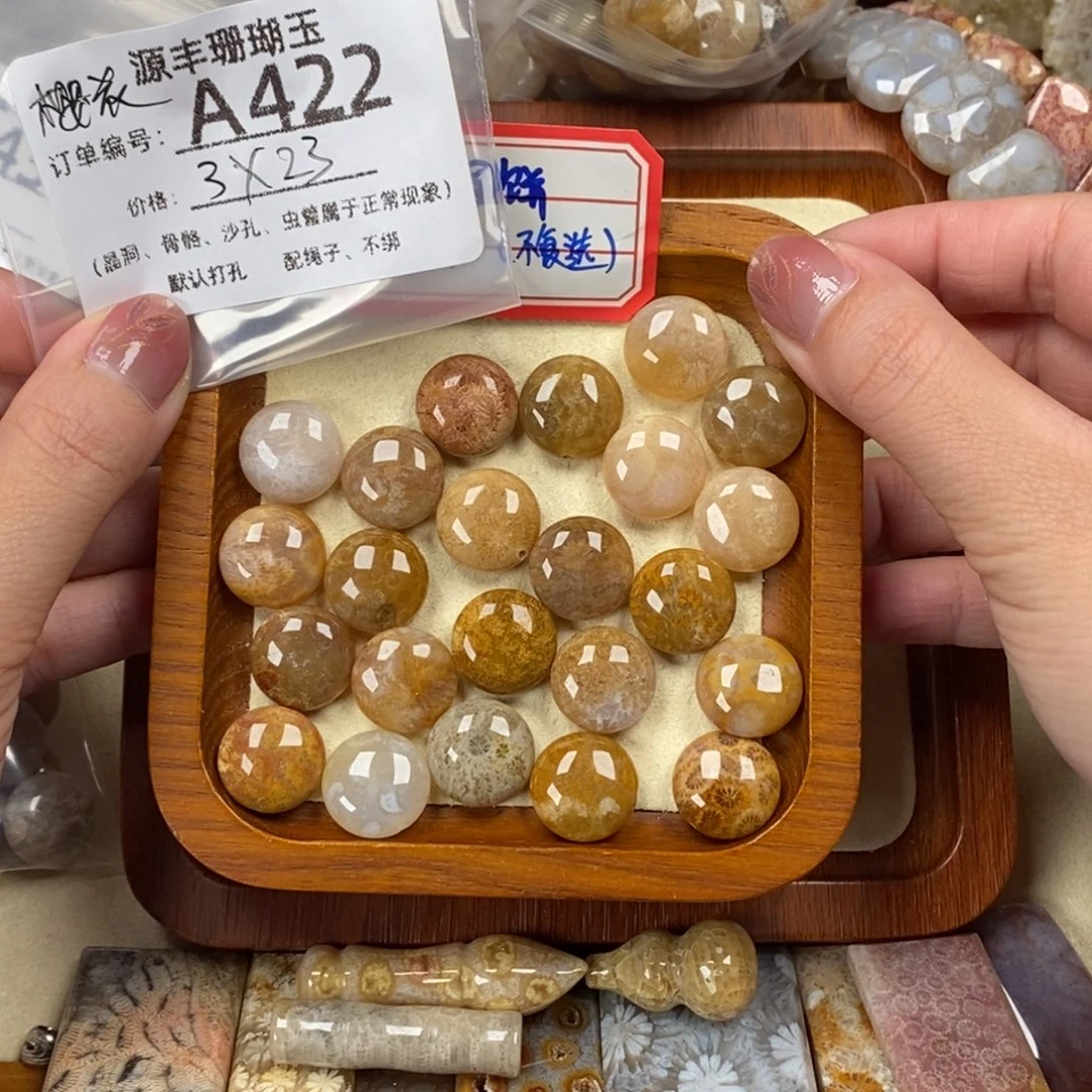 *****硅化玉未镶嵌颈饰
