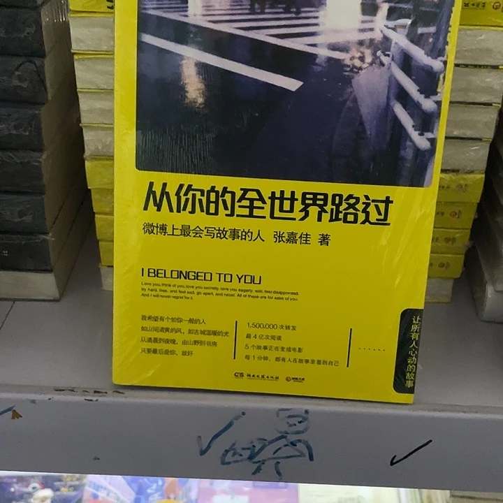 从你的全世界路过。平装带塑封