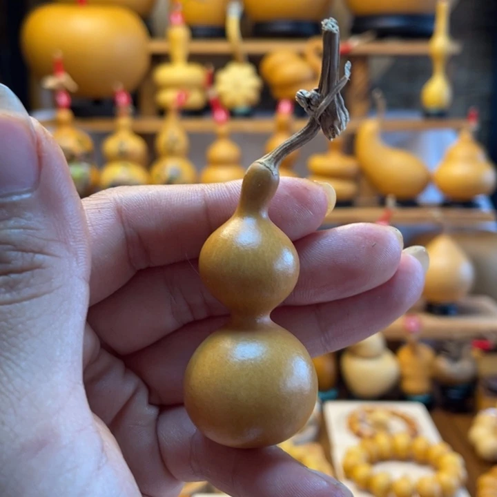白****天然葫芦自然生长
