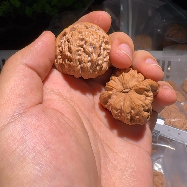 寰***谈吊坠文玩核桃白狮子