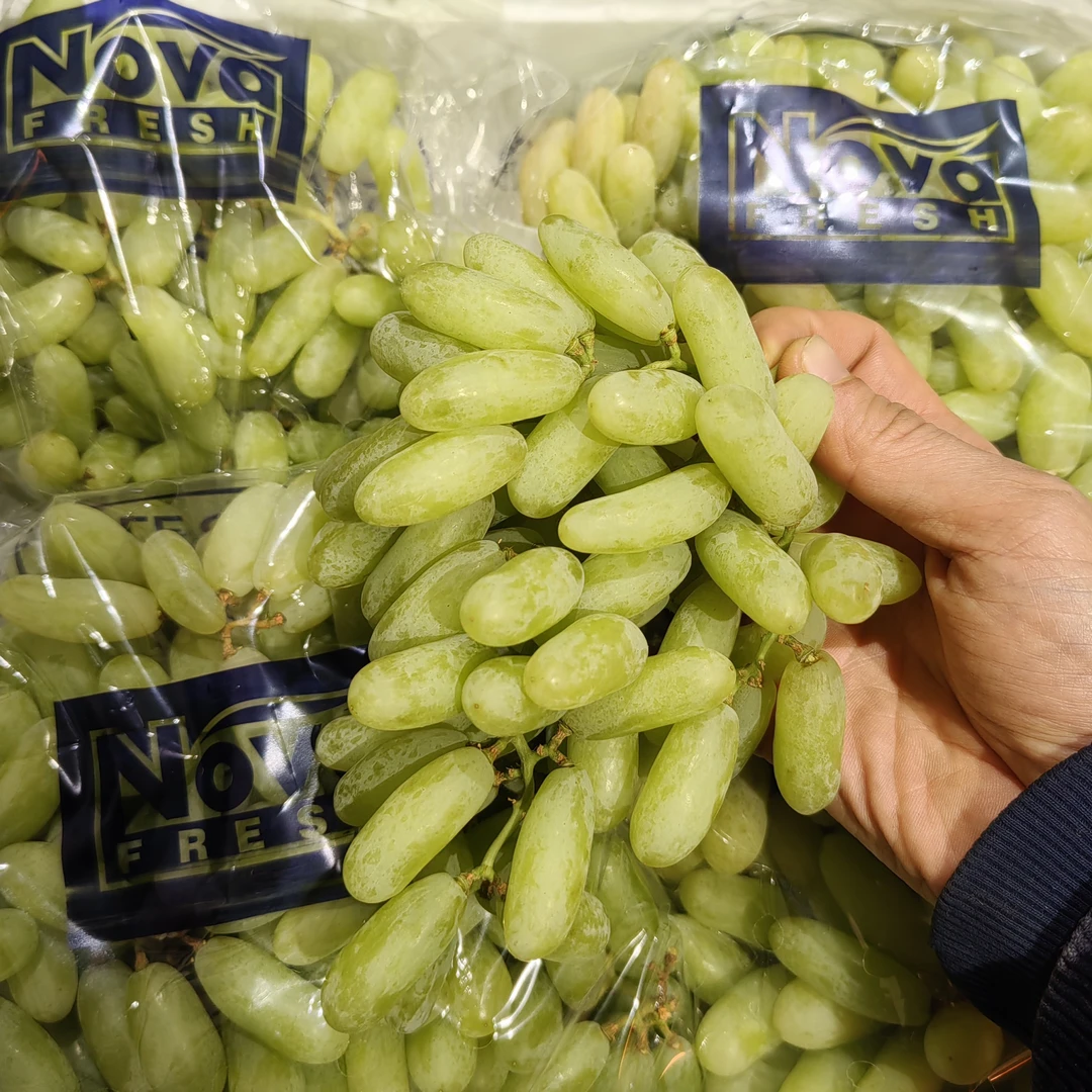 印度青提，皮薄无籽，黄金酸甜比，35一袋（2斤）青提