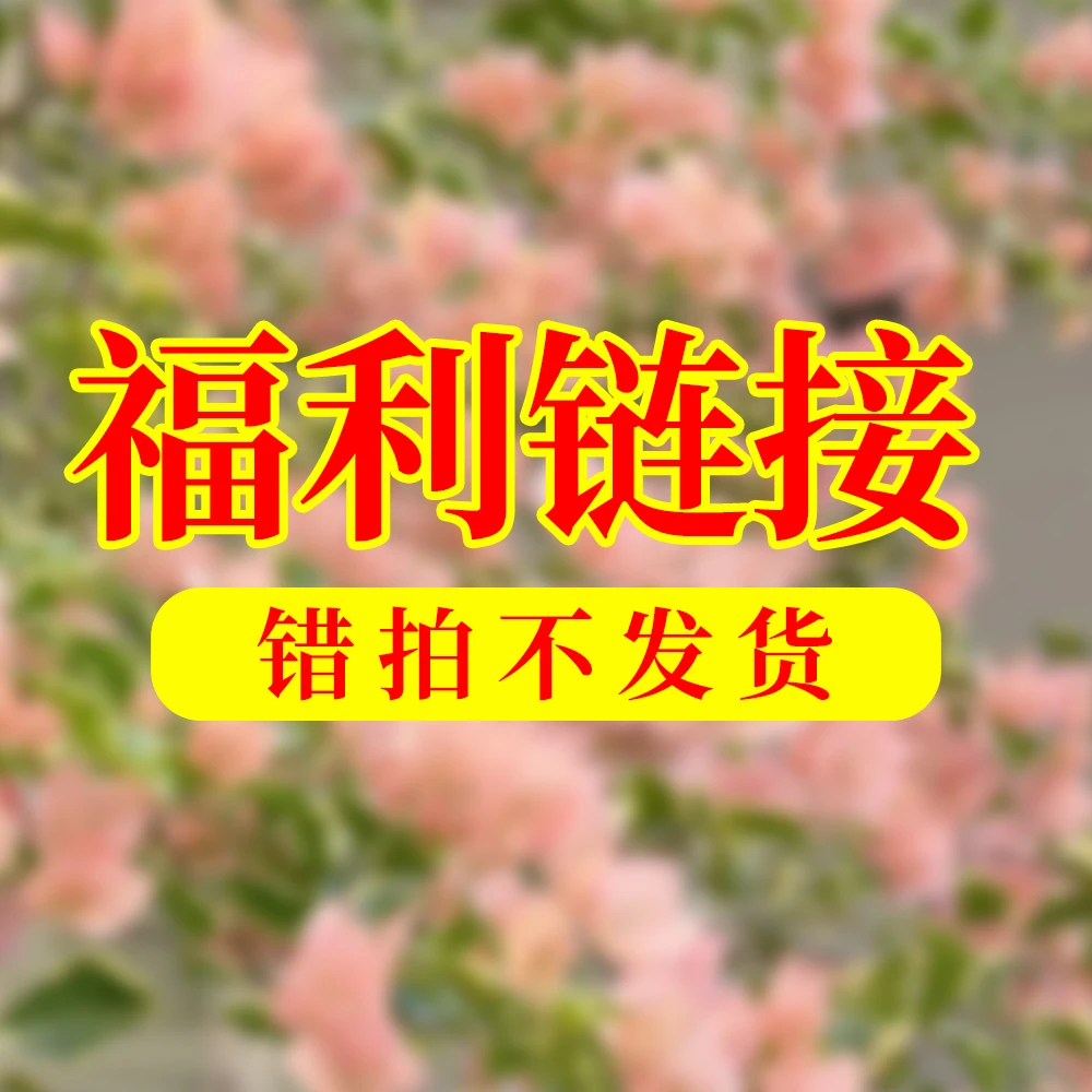 三角梅一物一拍专属链接