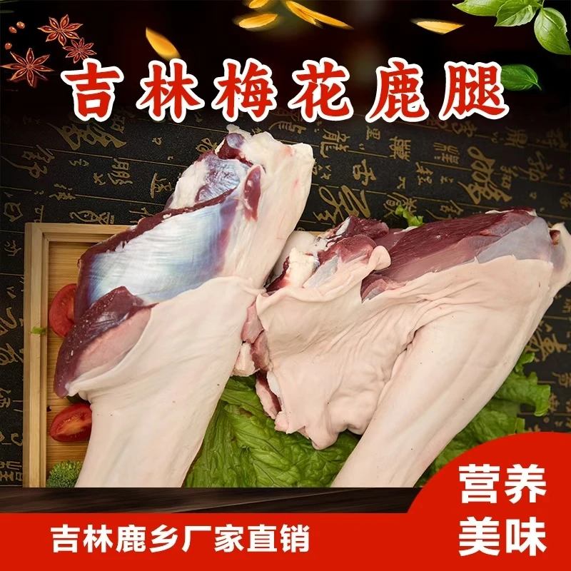 现杀鹿新鲜梅花鹿筋腿产地直发 坏单包赔