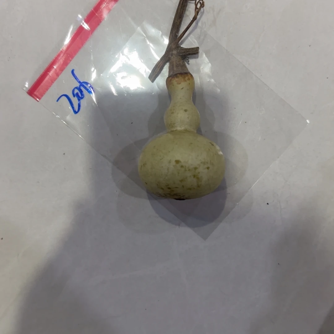 地***革青皮不包成青皮不包成