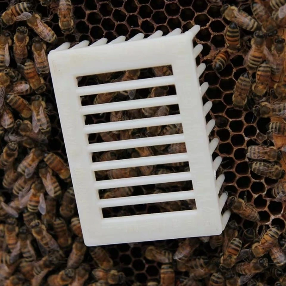 蜜蜂工具 塑料王笼 全塑多功能囚王笼 蜂王笼 针式王笼 养蜂用具
