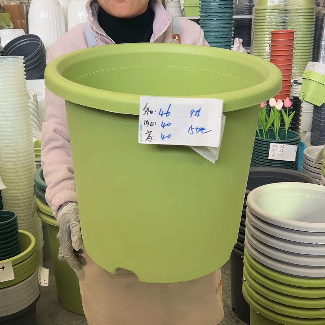 四季盆9#果绿色4个无托