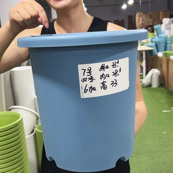 特价7号口33高33白色无托4只