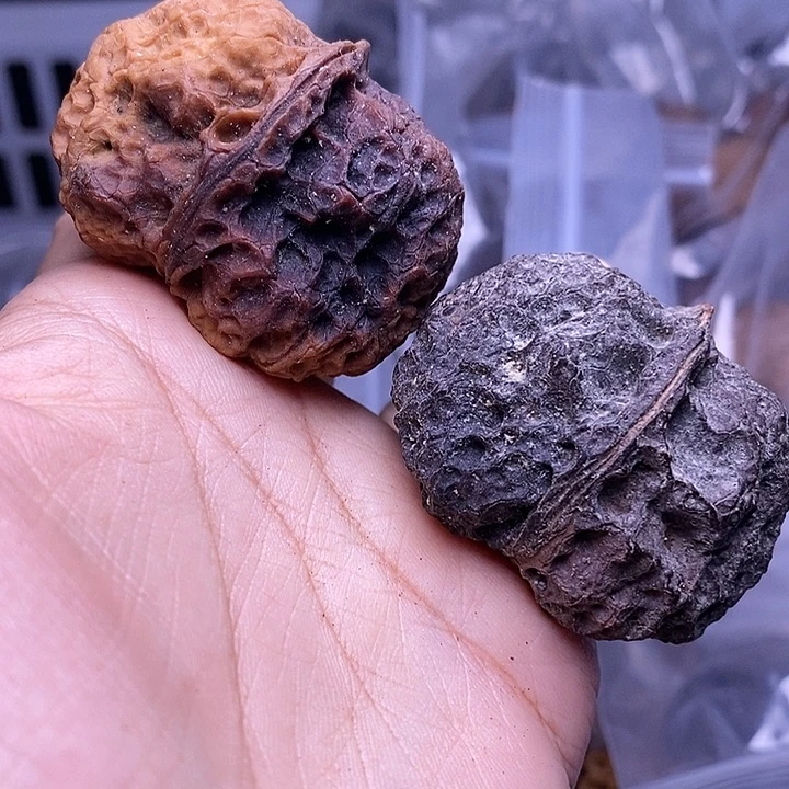 把件文玩核桃   245