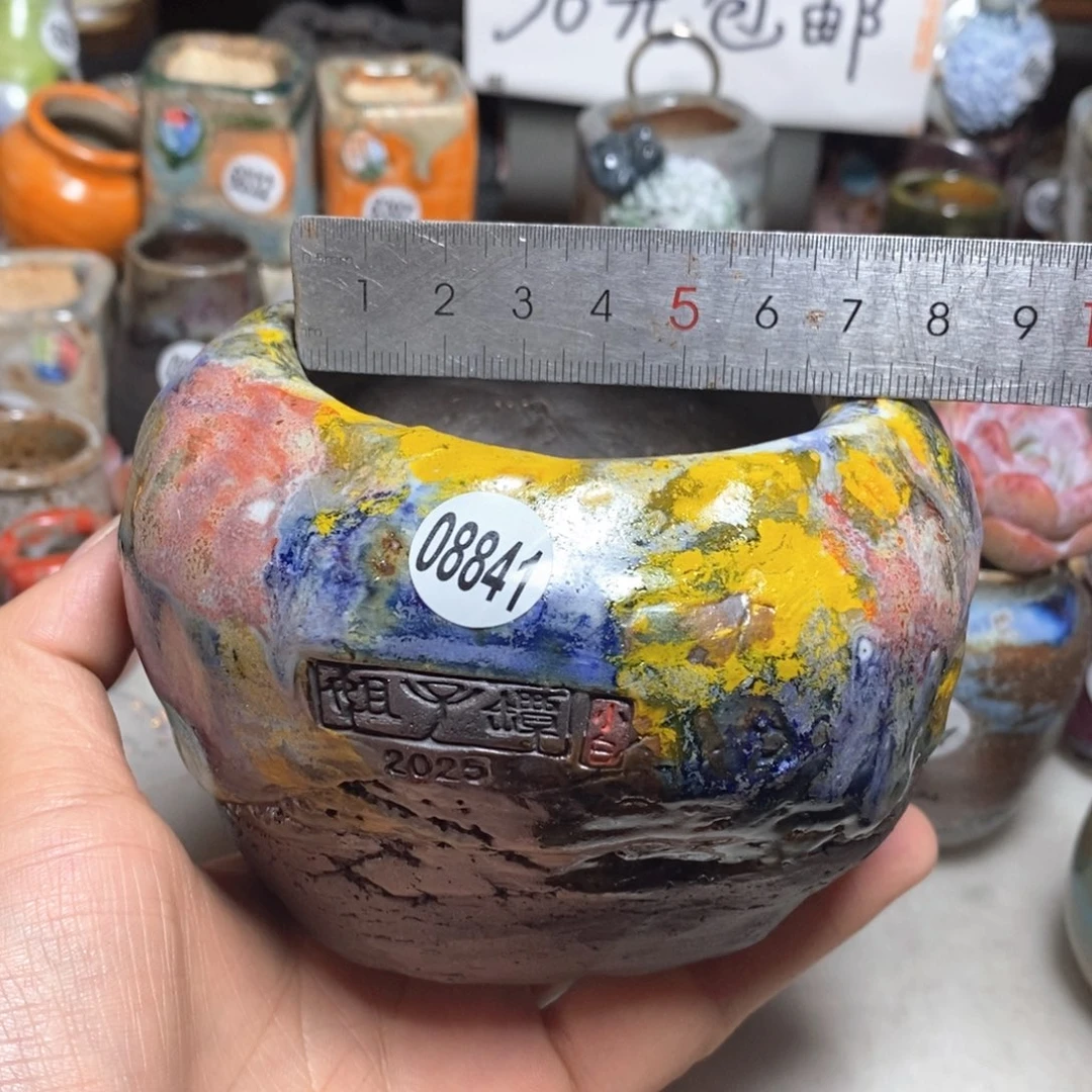 花盆拍3送一个小礼物