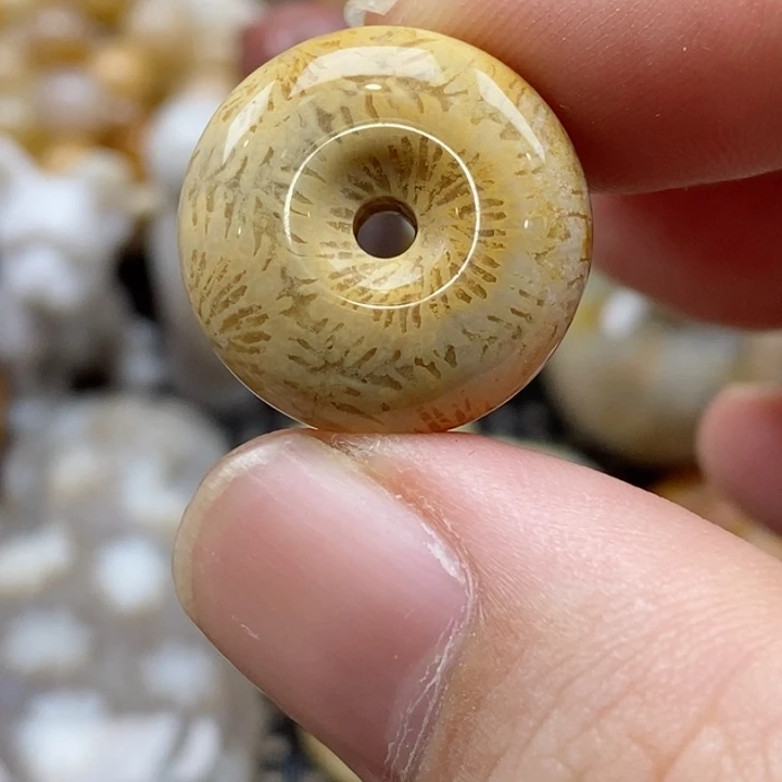 硅化珊瑚（珊瑚玉）颈饰未镶嵌小吊坠