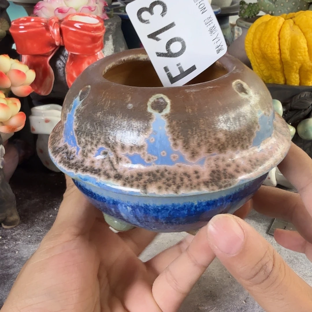 重庆小燕子欢迎大家613