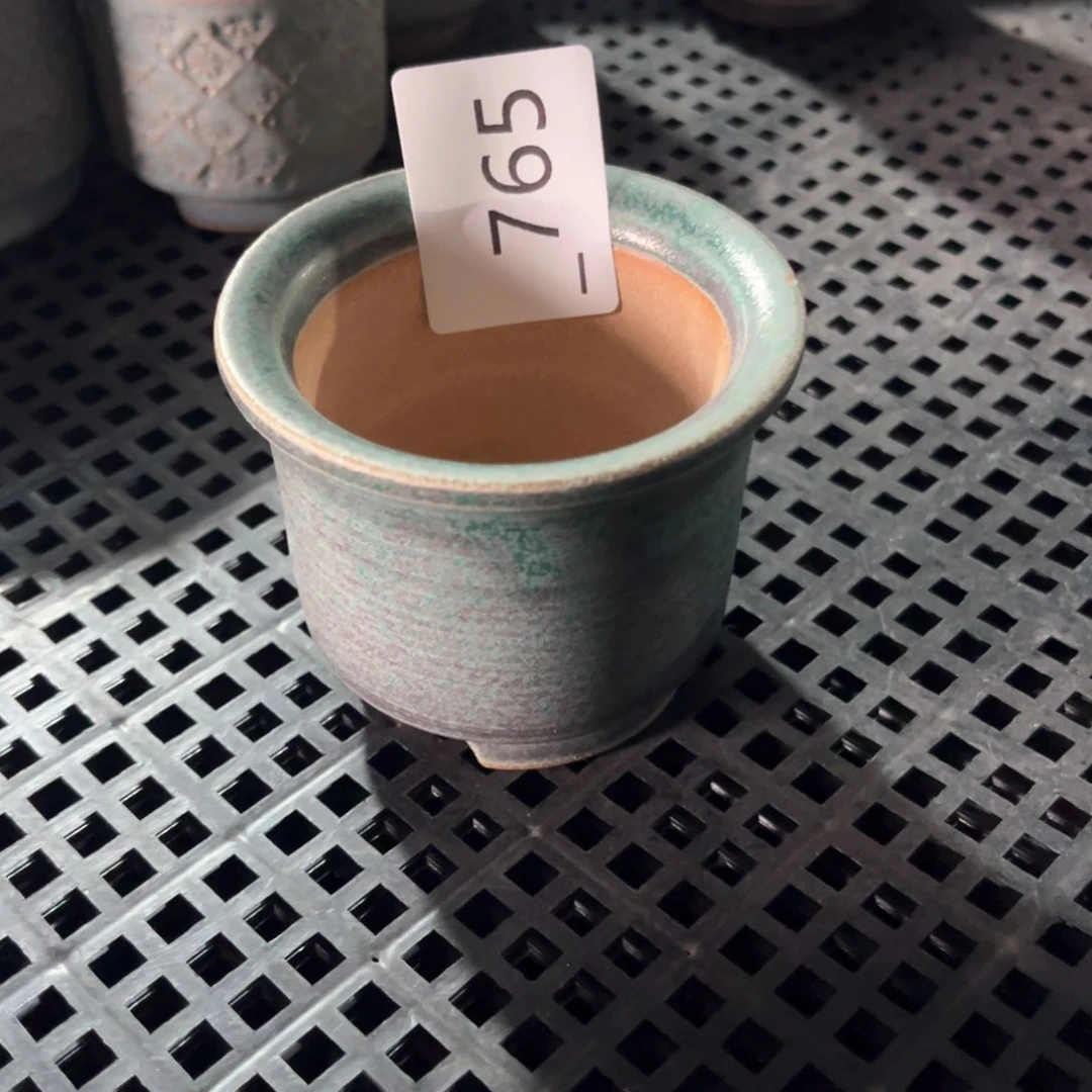 红陶大*丹765花盆1个