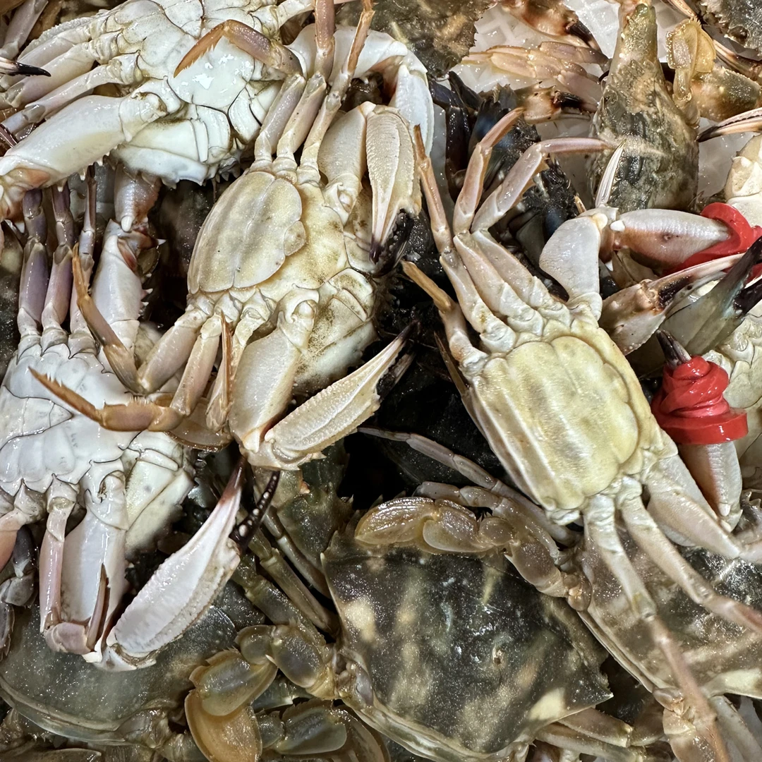 【花盖】9分肥【0.5-1两左右】【每斤8-12只】【保鲜不保活】【腿夹不全】