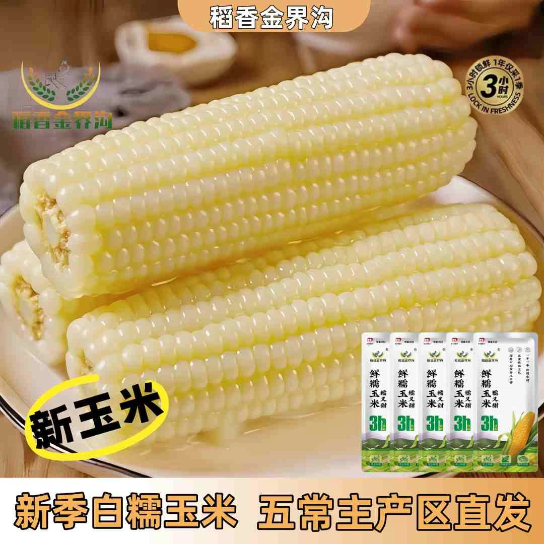 【试吃3根】东北新季白糯玉米铝箔/336品种280g-350g*10根香甜软糯