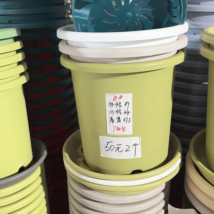 四季8#口径40无托果绿3个