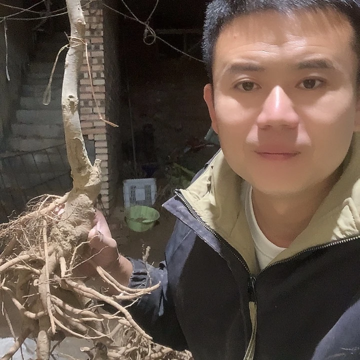 自***翔当前无花栽培后可以开花