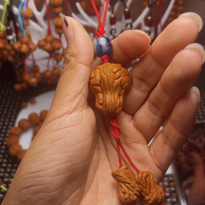 菩提籽类龙纹桃枭
