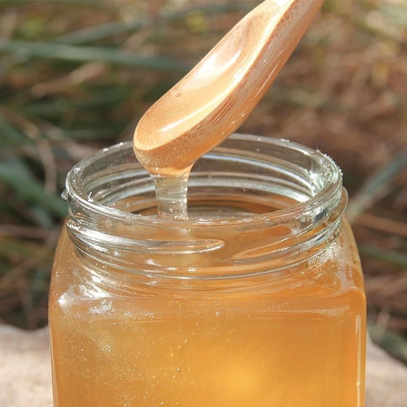 【支持检测】黄芪蜜500g/瓶深山老蜂蜜农家纯正天然原生态蜂蜜