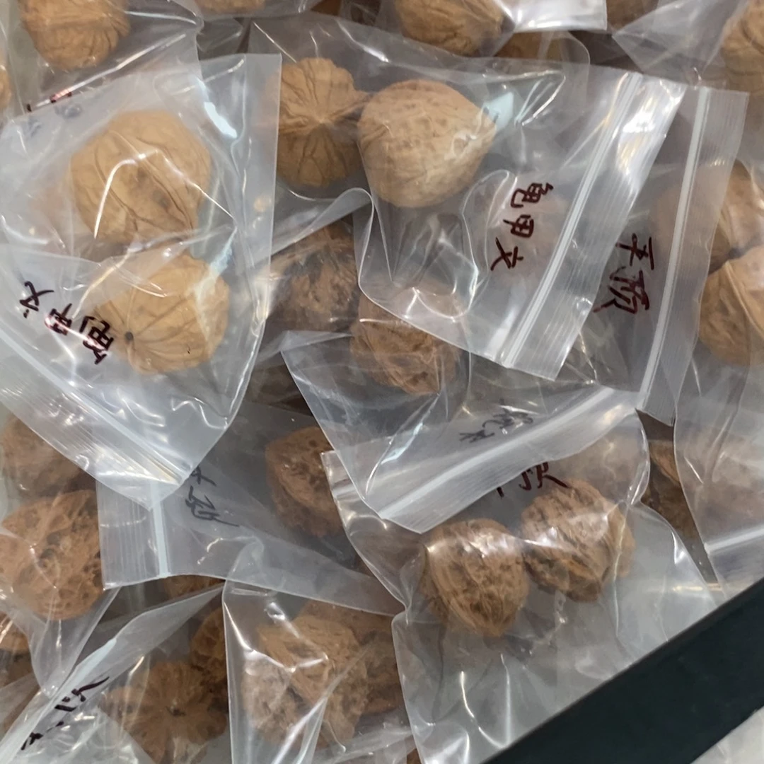 文玩核桃吊坠平顶龟甲纹有瑕疵