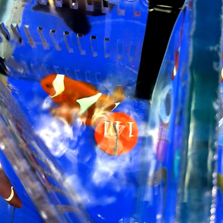 透红7+/1-10-141海水