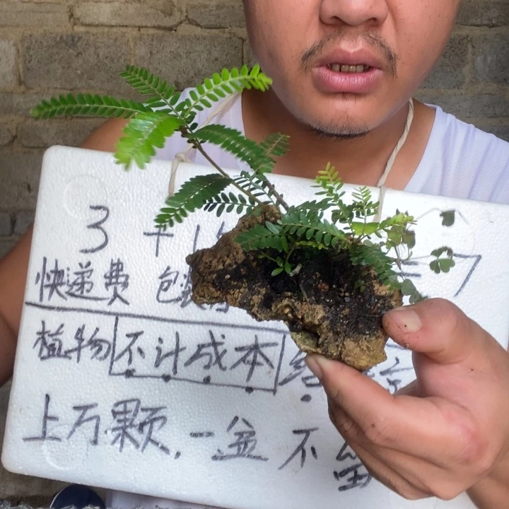 退款拉黑一物一拍248