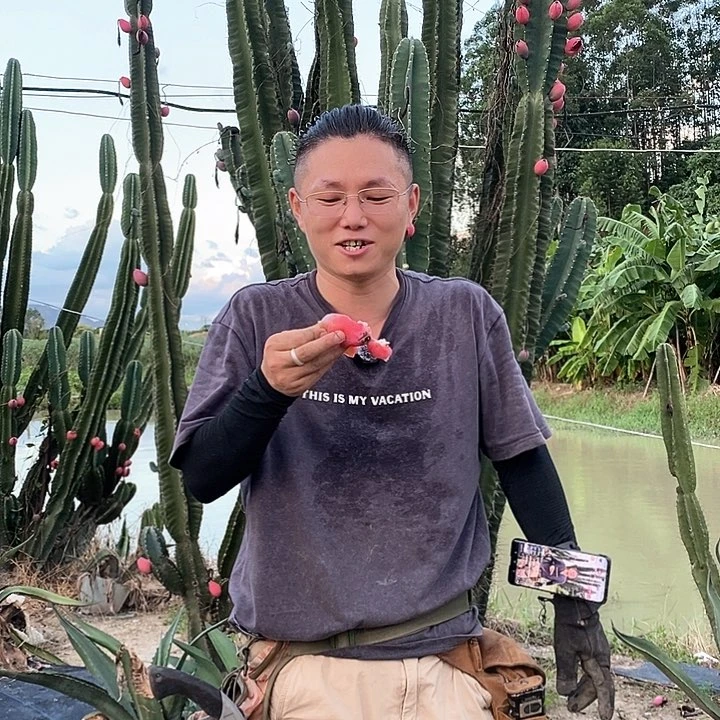 ?****?秘鲁苹果青果实3颗发货