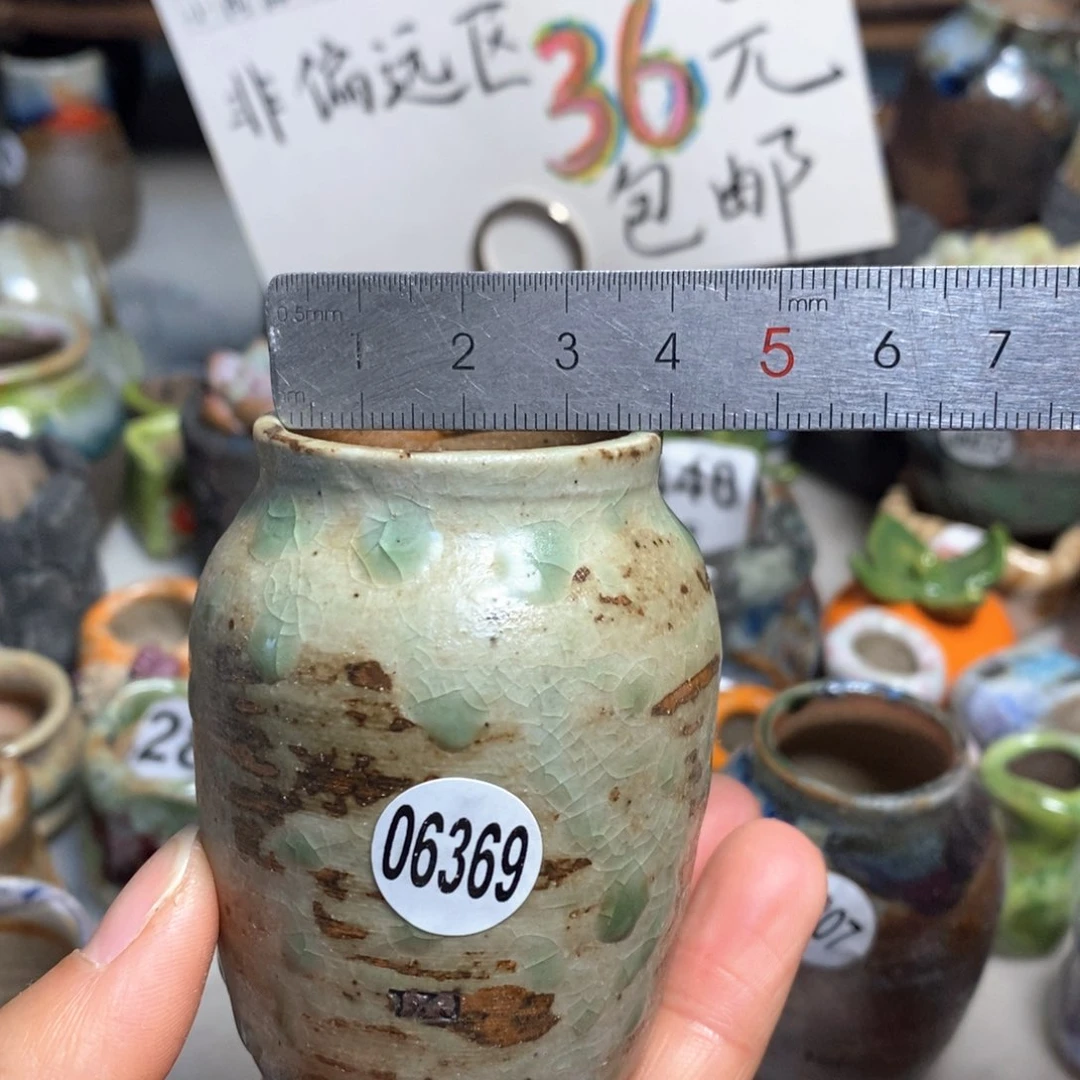 拍5送一个小礼物花盆