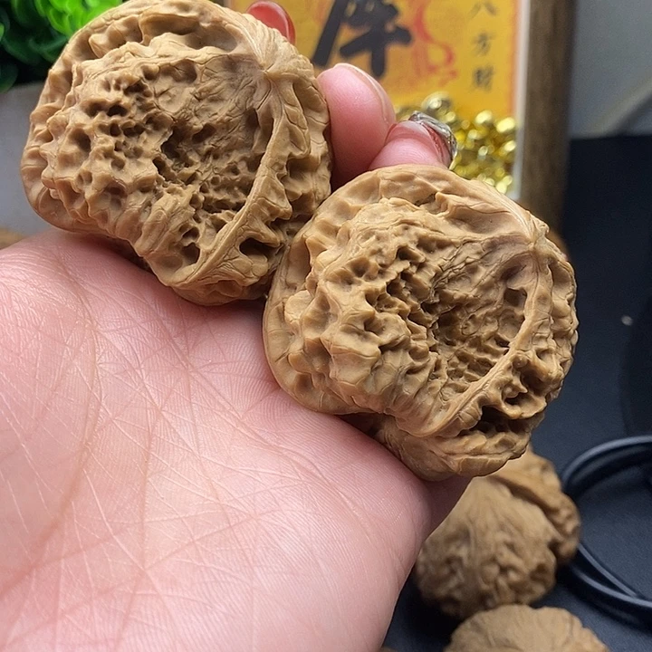 ****落吊坠龙脊菩提眼镜蛇47