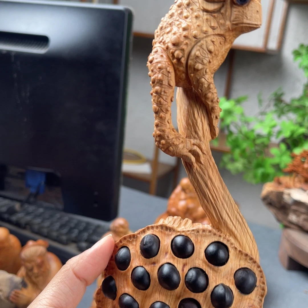 柏木（崖柏）崖柏太行山脉