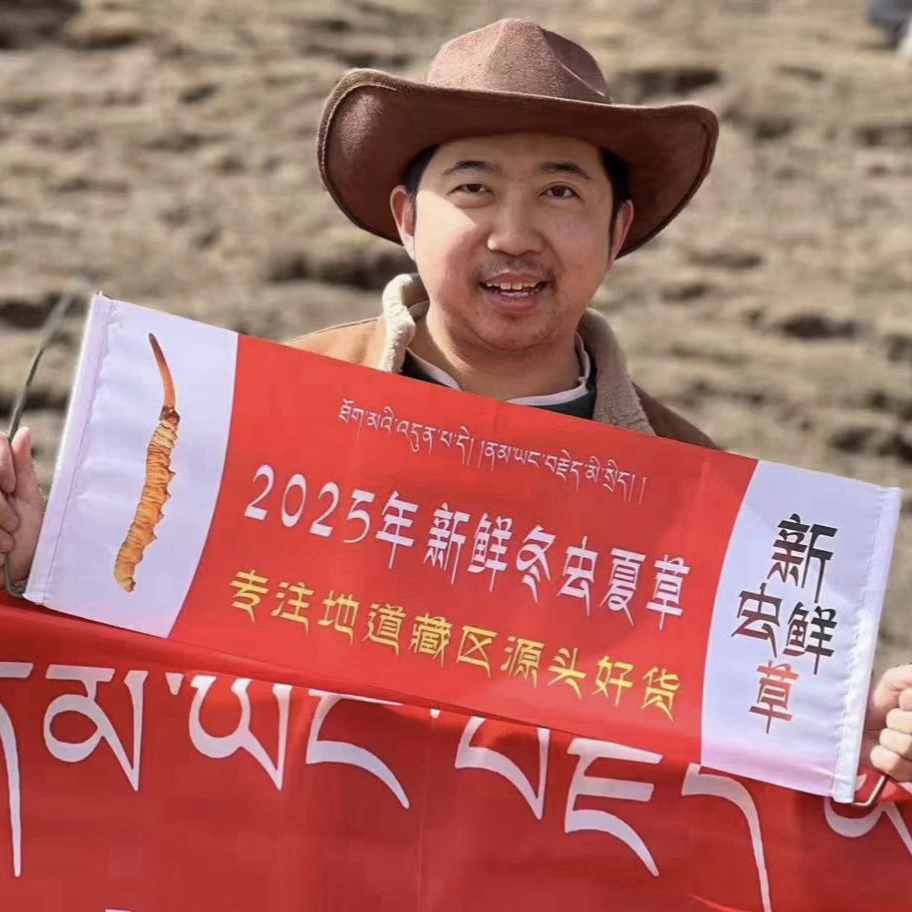 1号（100根）2025年新鲜冬虫夏草头期新货0.3-1.0克顺丰冷链发货