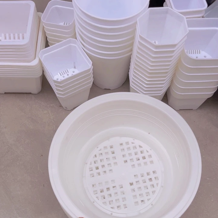 白韩盆口19高8一组10个