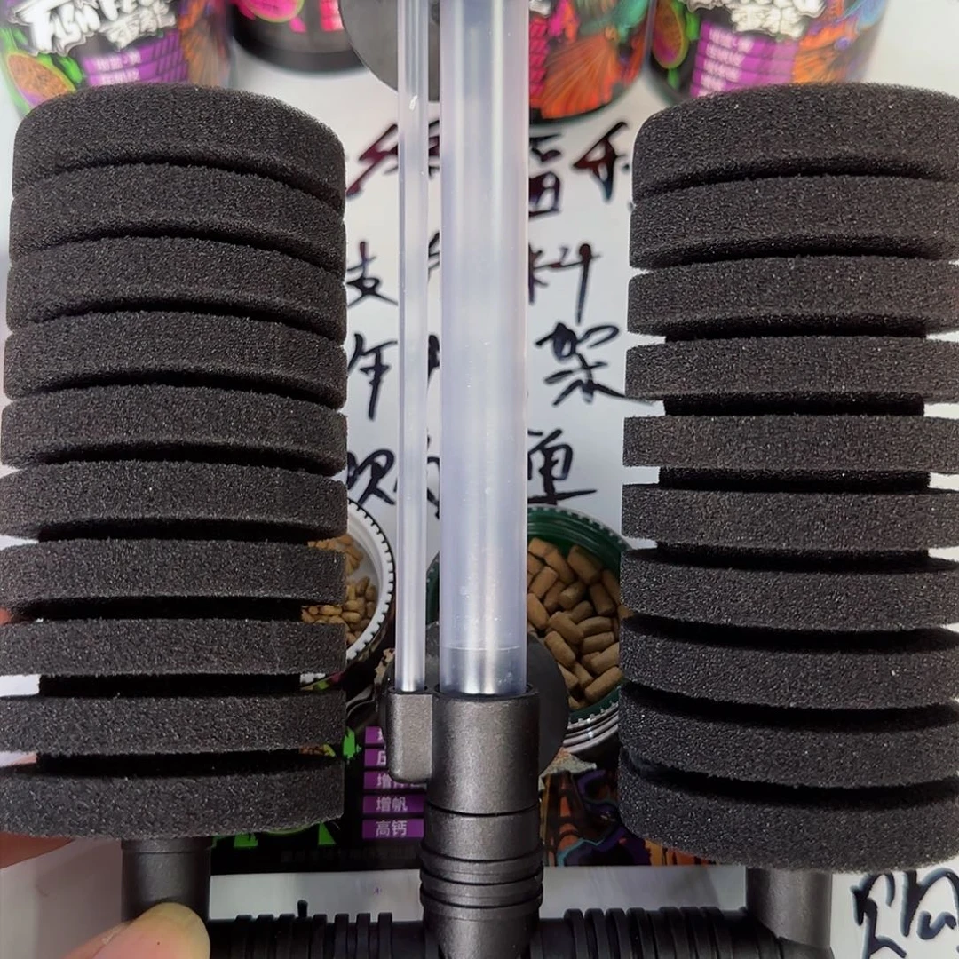 热带鱼公105555555