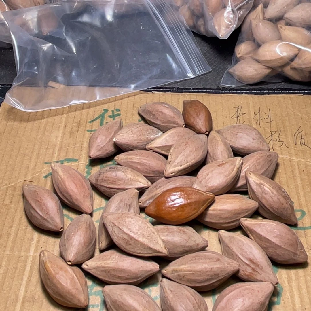 沐*兮不退不换dgsffg