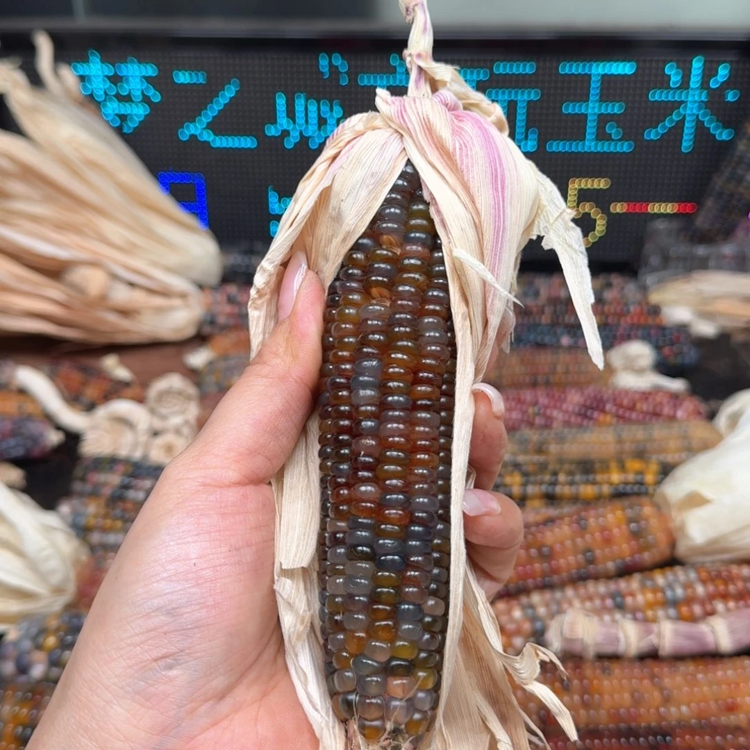 柏香籽/百香籽吊坠?****鱼