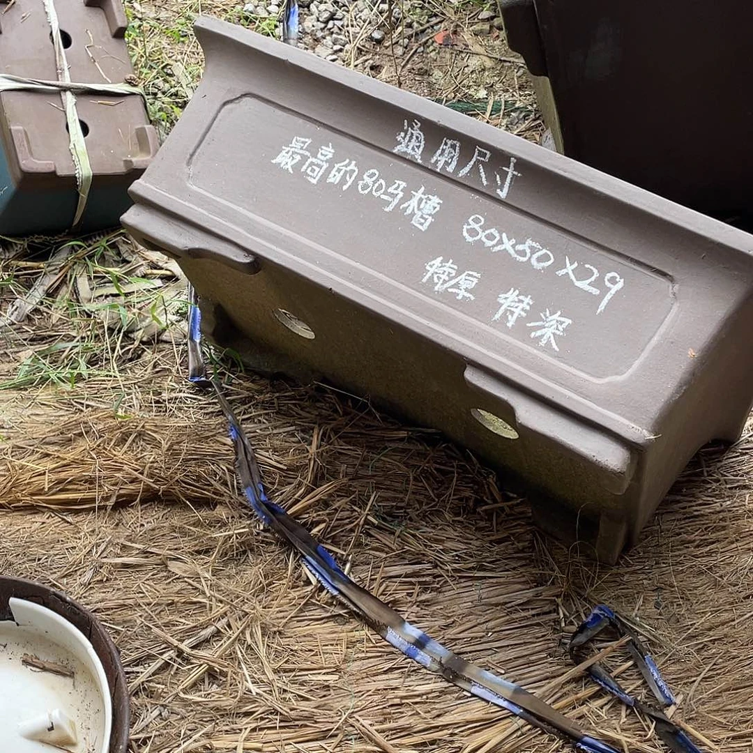 特价处理紫砂一只
