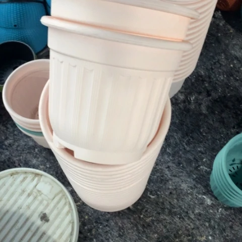 树脂24粉罗马无托4个