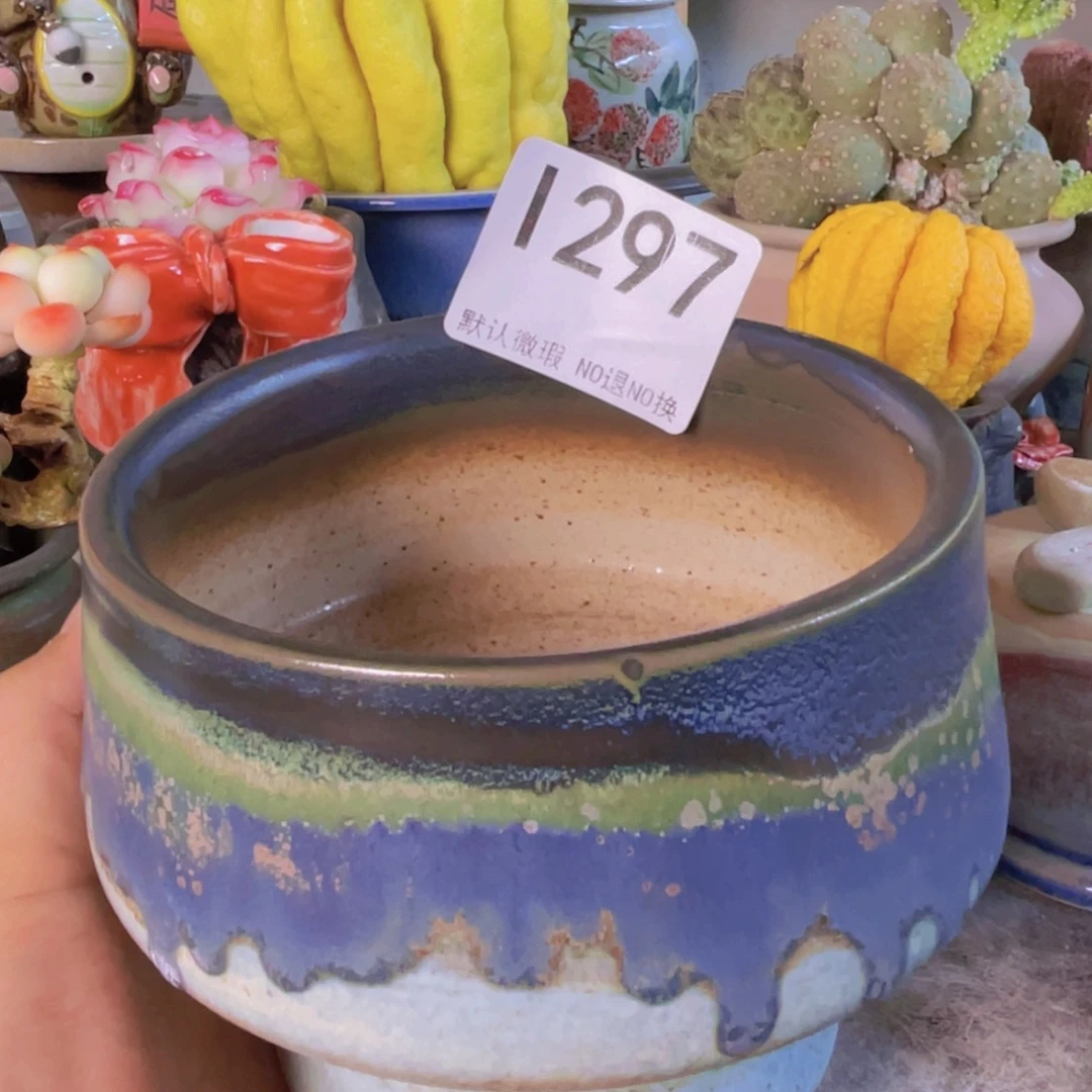 重庆小燕子欢迎大家297