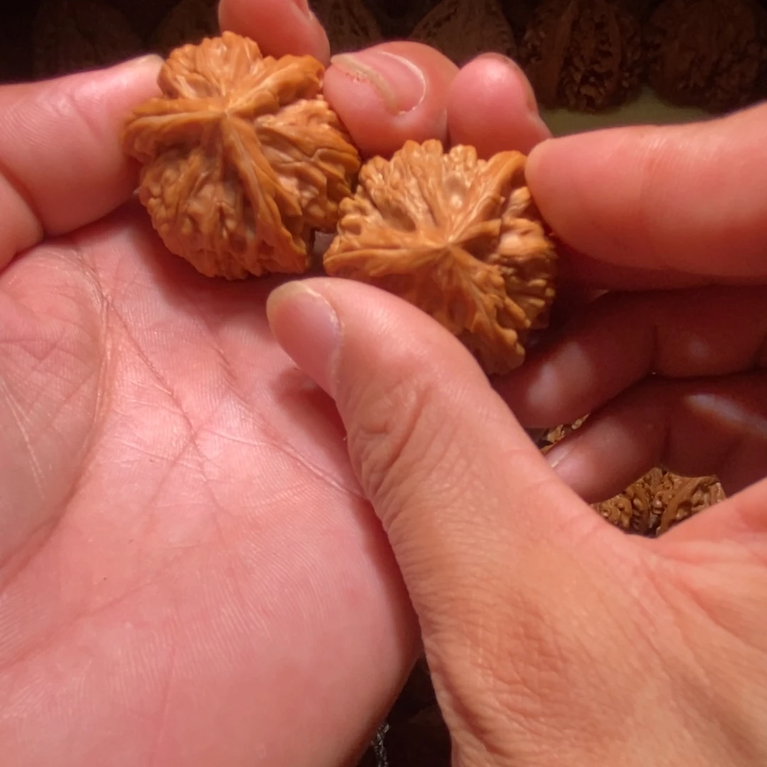 观***潮文山三棱文玩核桃手把件