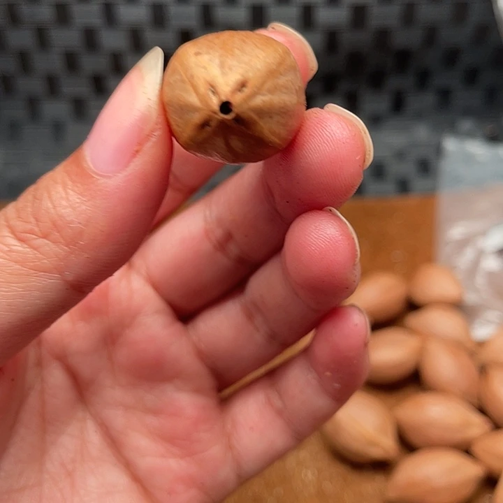 橄榄核手串/手链橄榄