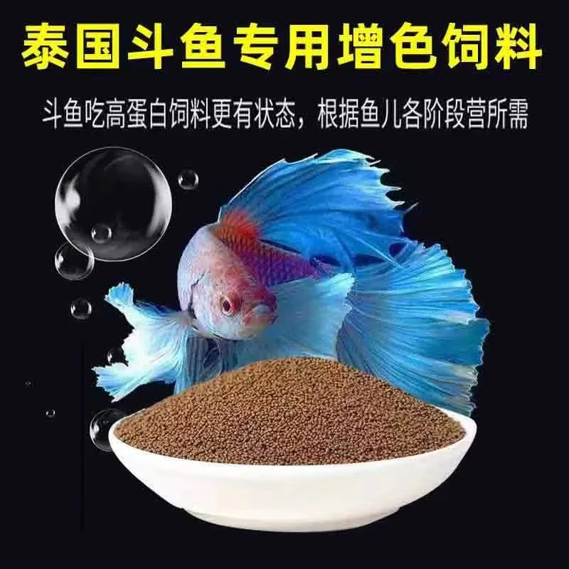 泰国小斗鱼专用高蛋白鱼食斗鱼饲料增色增香小颗粒鱼粮