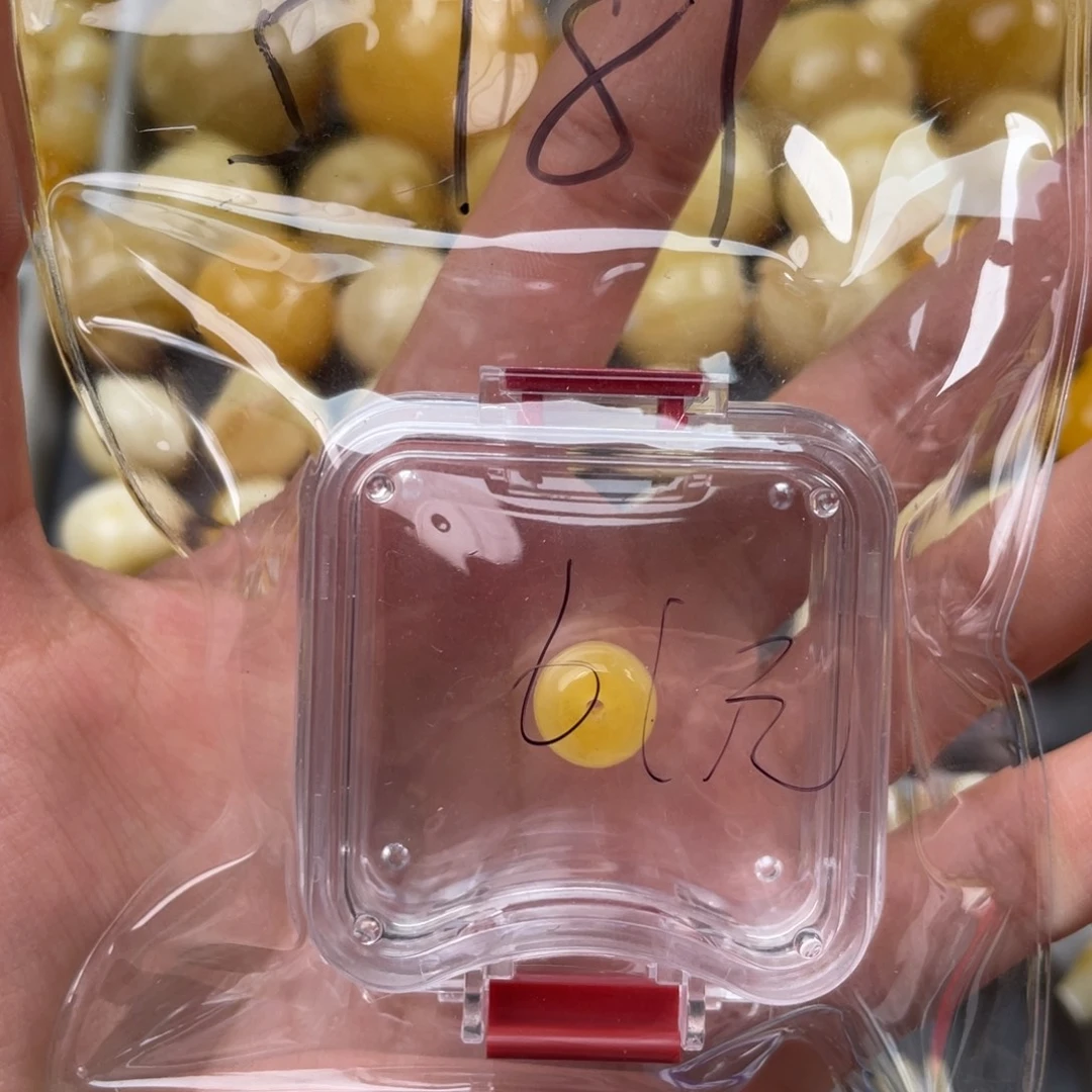 3***0未镶嵌蜜蜡珠宝奇石微瑕